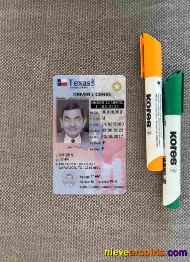 USA Texas driving license photolook